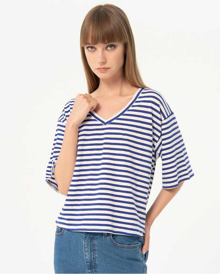 Wide striped cotton t-shirt Blue